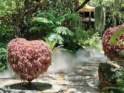 The Forest Cafe Coffee จุดเช็คอินแห่งใหม่ของเมืองหนองคาย