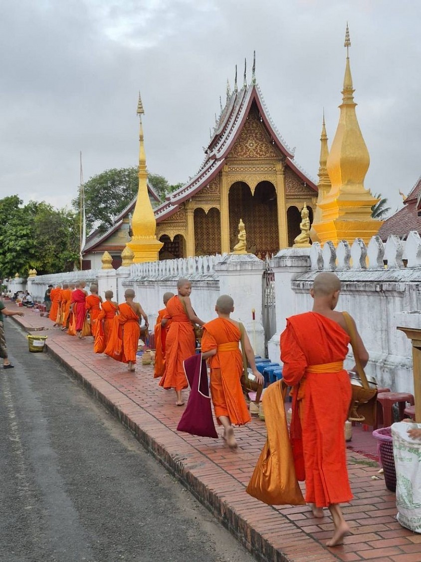 พระสงฆ์ออกรับบิณฑบาตในตัวเมืองหลวงพระบาง